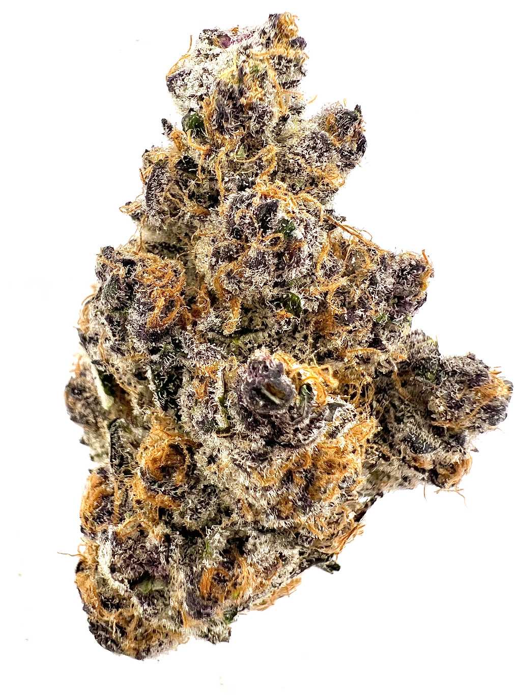 Blockberry (Hybrid)