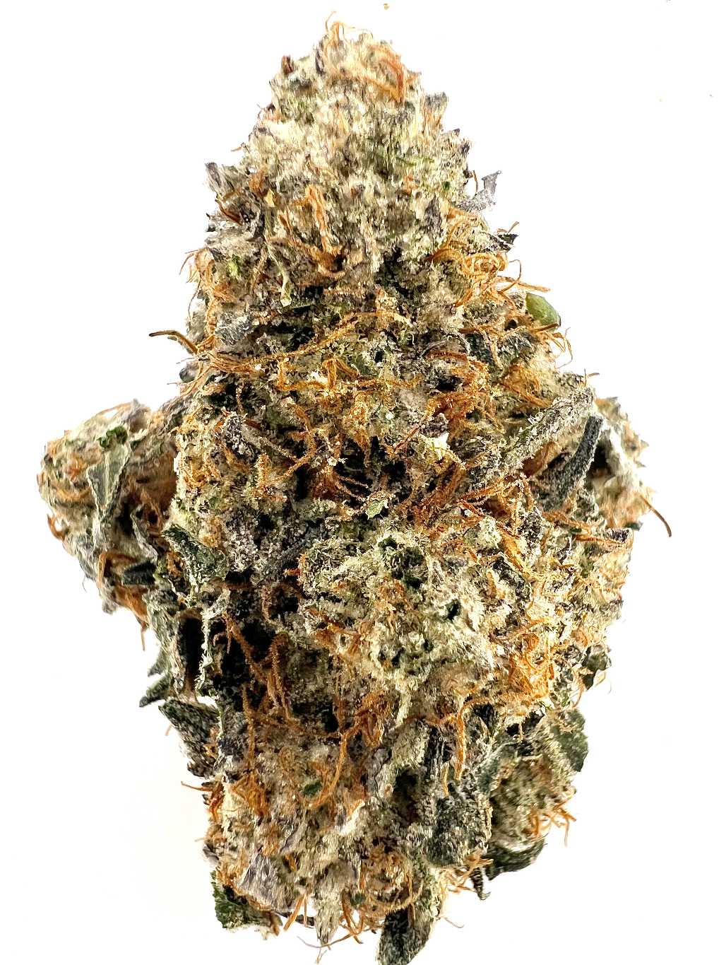 Purple Chem (Indica)